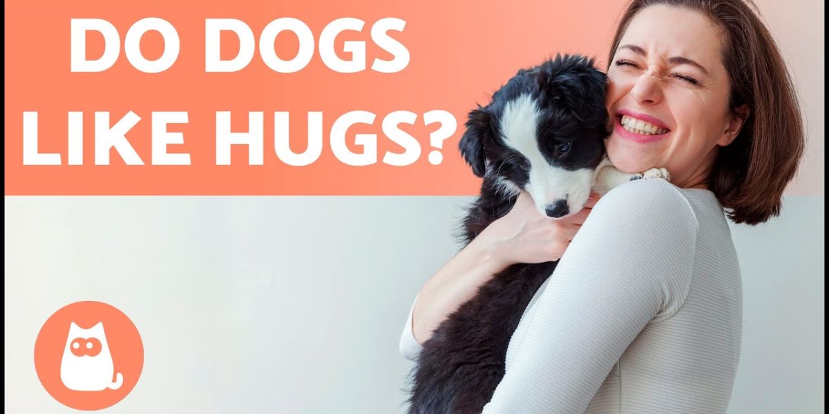 do dogs like to be hugged